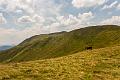 2018_08_06_Auvergne  (0016)